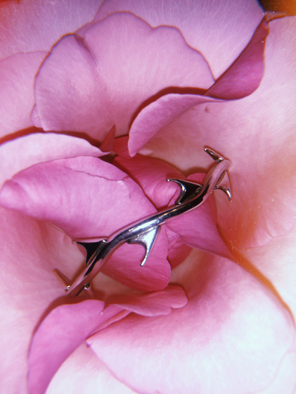 Espinas