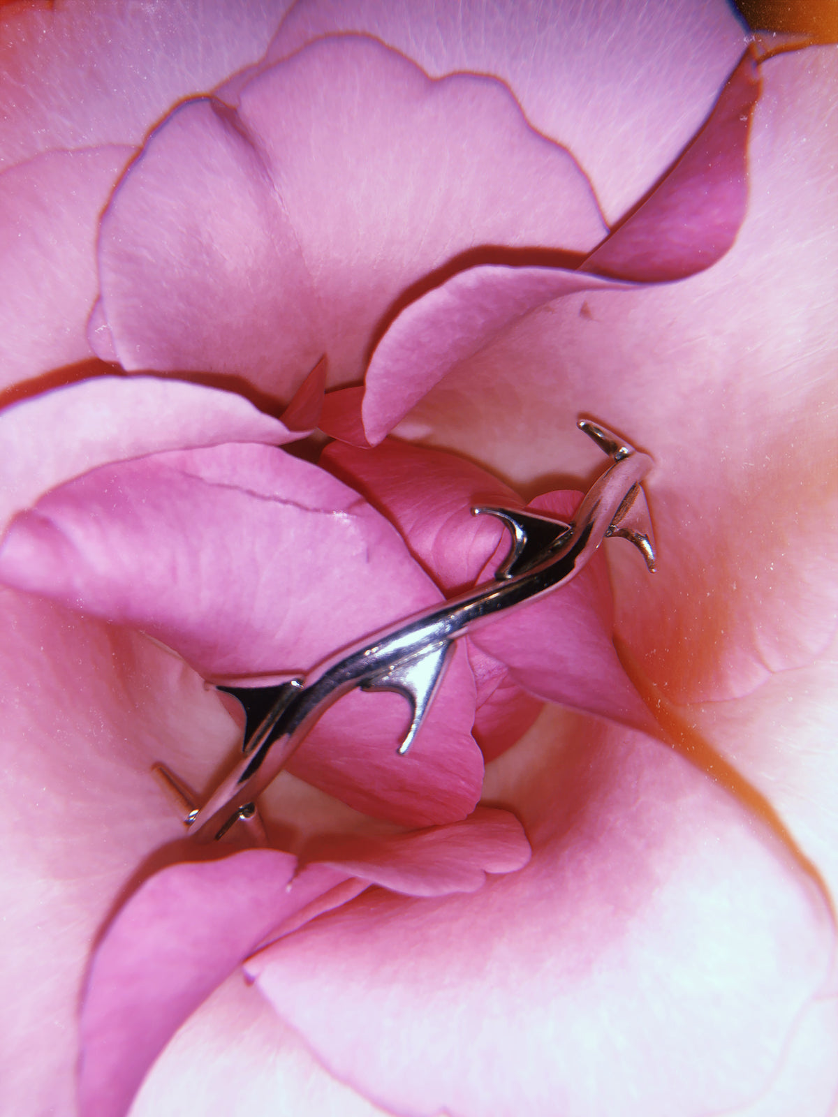 Espinas