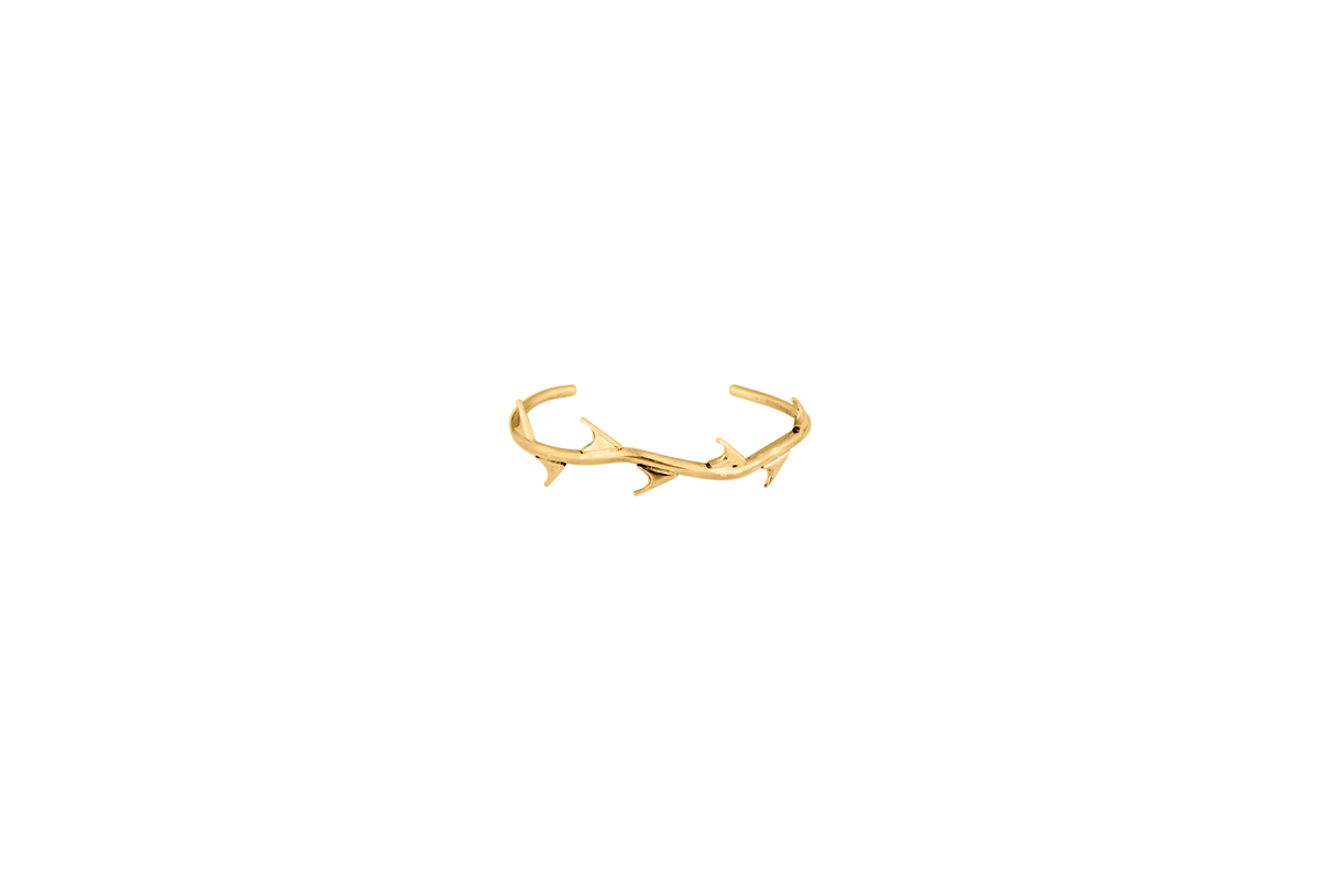 Espinas